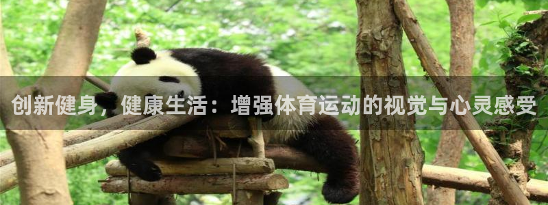 米兰体育下载：创新健身，健康生活：增强体育运动的视觉与心灵感受