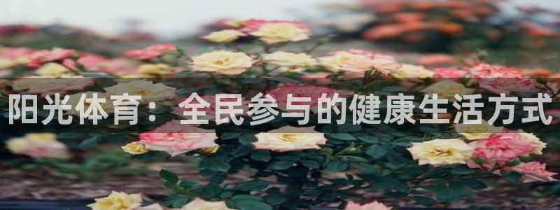 米兰体育网站：阳光体育：全民参与的健康生活方式