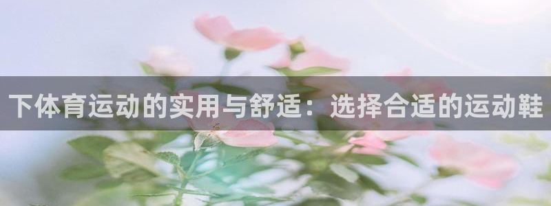 米兰体育入口：下体育运动的实用与舒适：选择合适的运动鞋