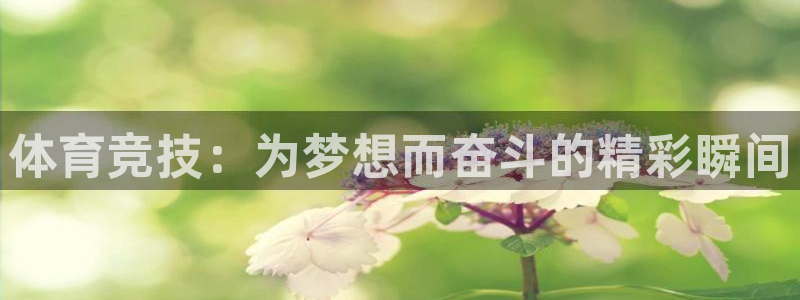 米兰体育网站：体育竞技：为梦想而奋斗的精彩瞬间