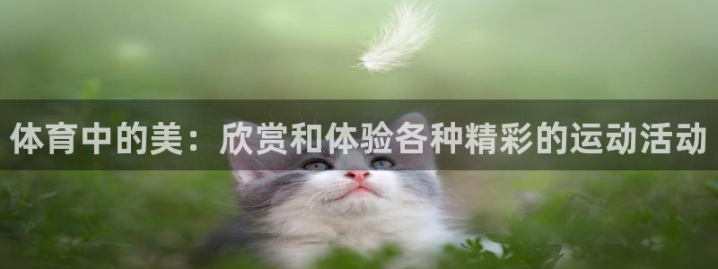 米兰体育网站：体育中的美：欣赏和体验各种精彩的运动活动