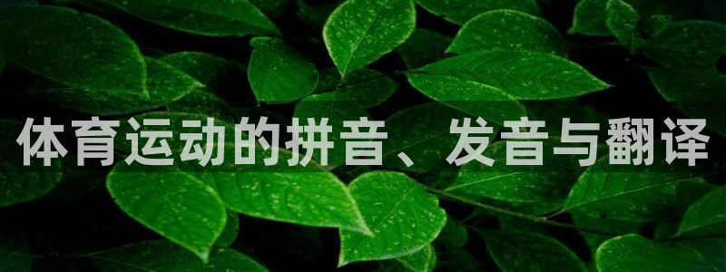 米兰体育.：体育运动的拼音、发音与翻译