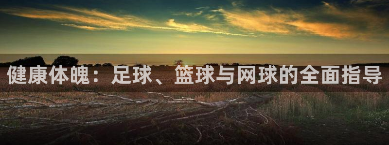 米兰体育app下载：健康体魄：足球、篮球与网球的全面指导