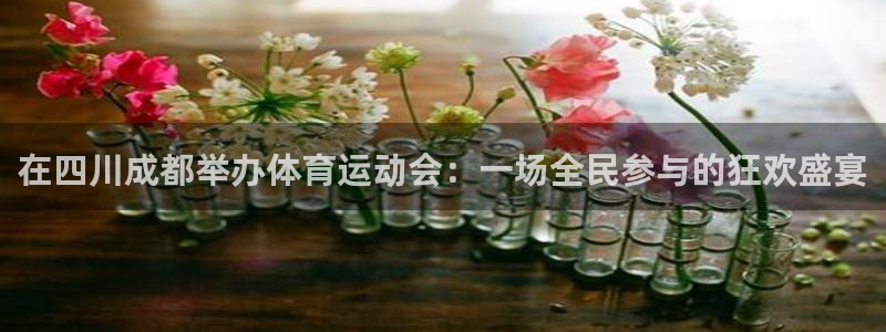 米兰体育平台：在四川成都举办体育运动会：一场全民参与的狂欢盛宴